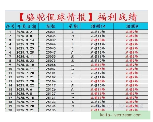 世界杯竞猜盘口分析与预测攻略助你轻松赢得赛事投注胜利