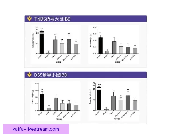 今日热门体育赛事竞猜推荐与稳健分析助你精准把握赢面策略全解读